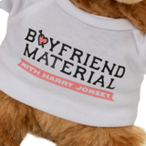 BOYFRIEND TEDDY