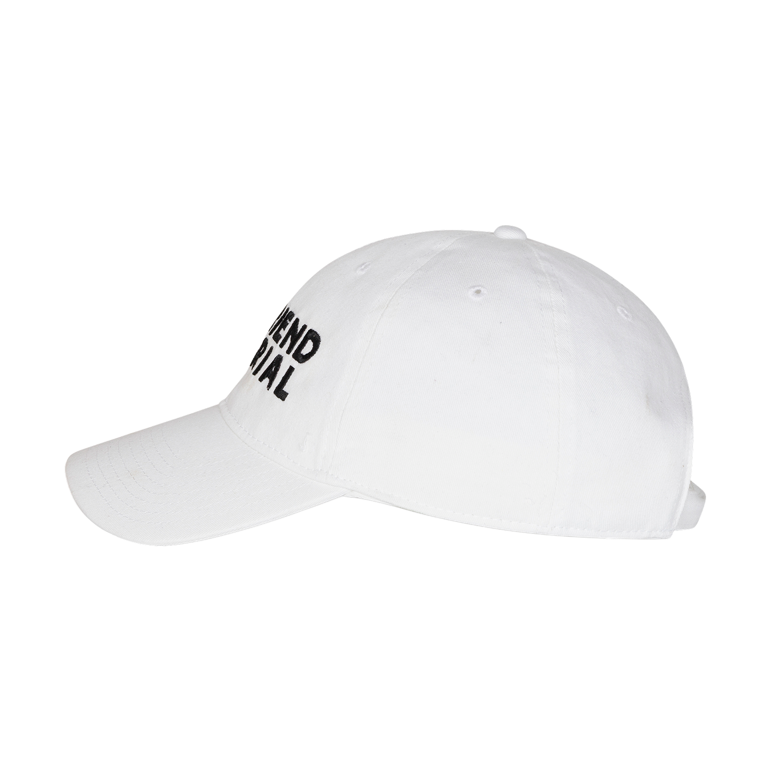 BOYFRIEND MATERIAL DAD HAT