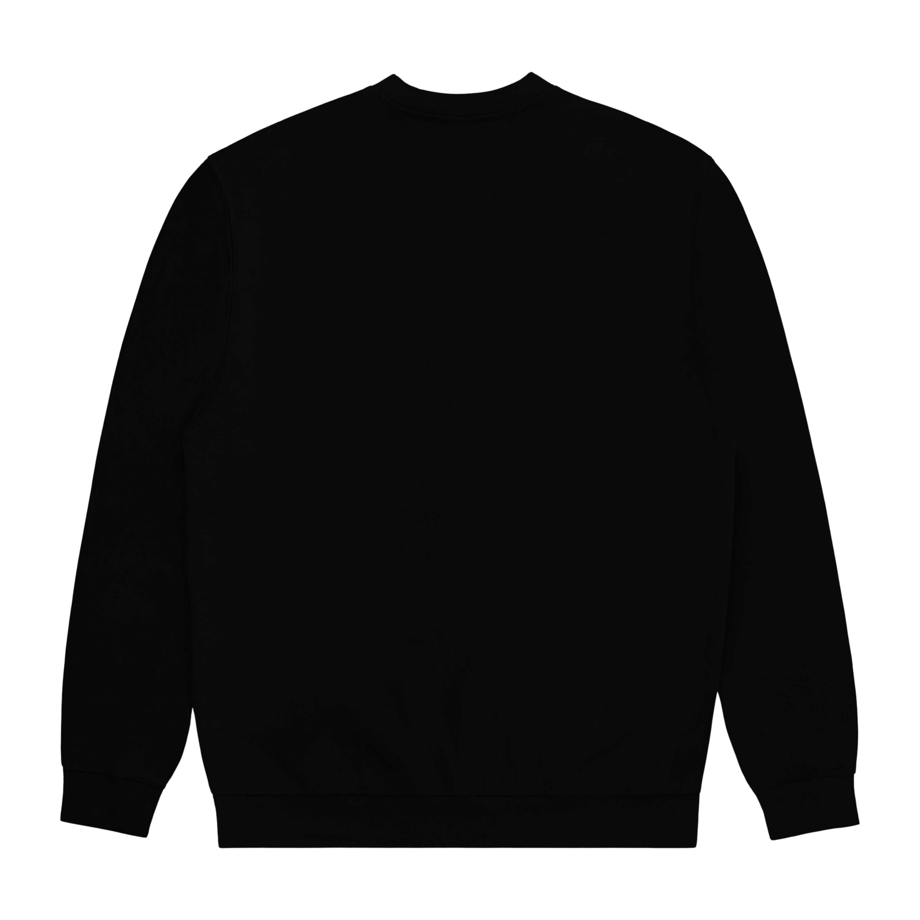 DISGRACEFUL CREWNECK